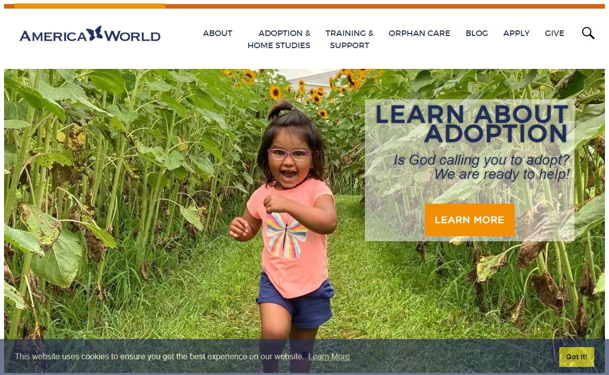 International Adoption | Christian Adoption | America World Adoption