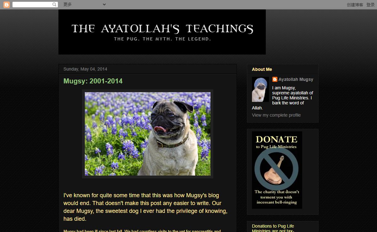 The Ayatollah's Teachings