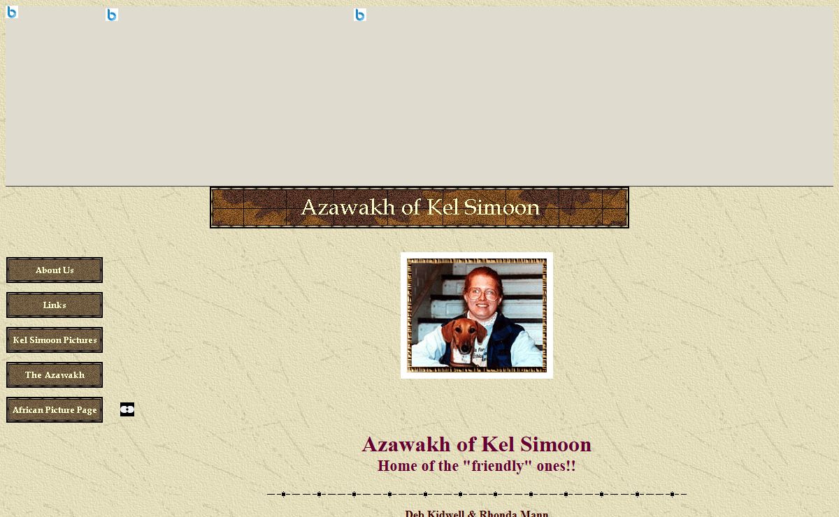 Azawakh of Kel Simoon