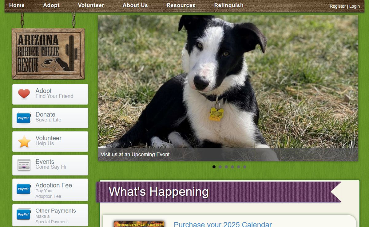 Arizona Border Collie Rescue > Home
