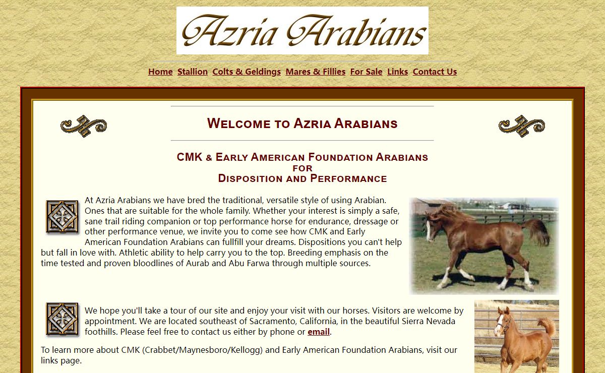 Azria Arabians