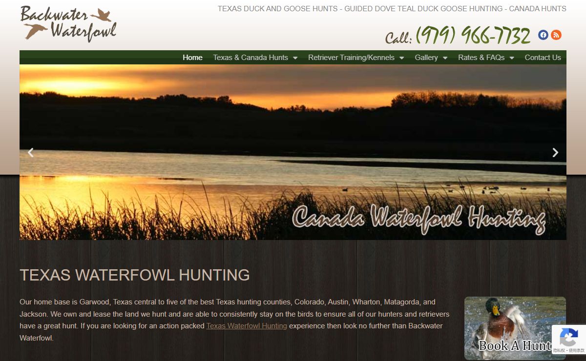 Texas Duck & Goose Hunting | Guided Duck Dove Goose Teal Hunts in Canada & Texas