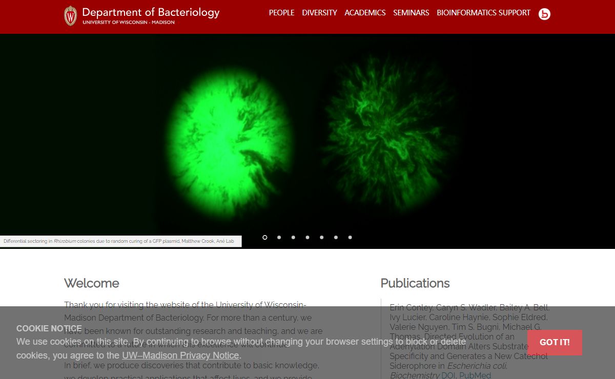 UW Bacteriology | Home