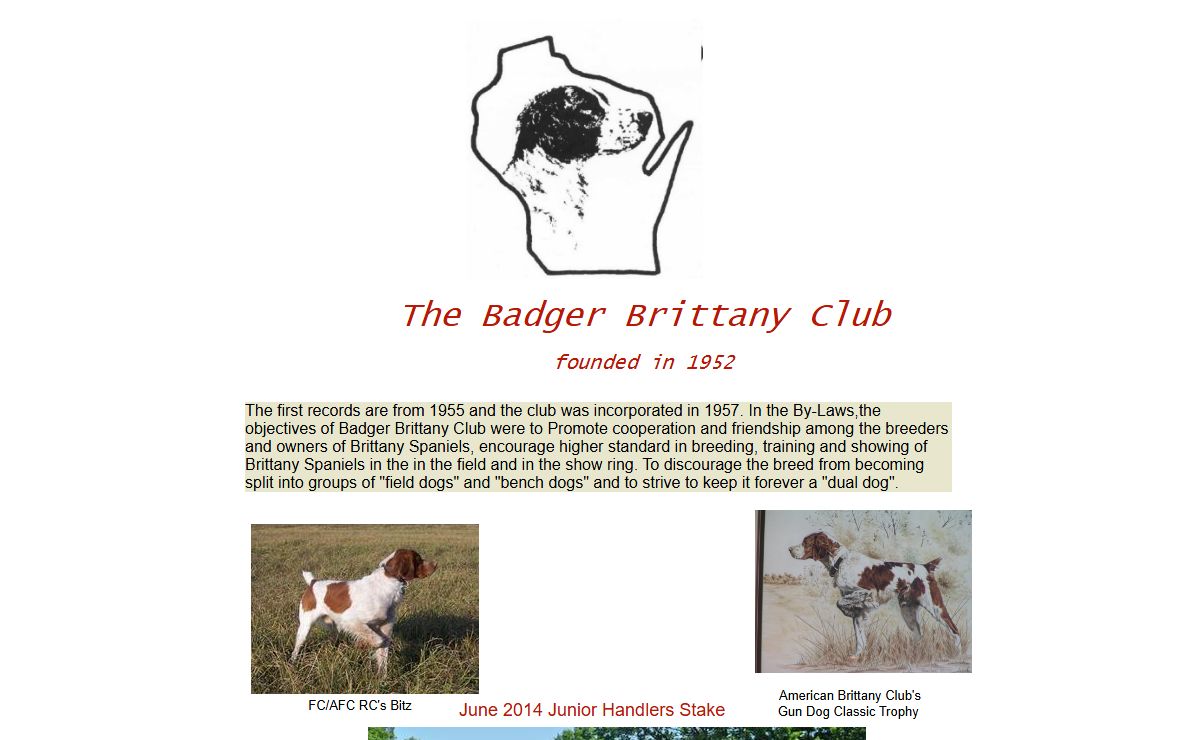 Badger Brittany Club