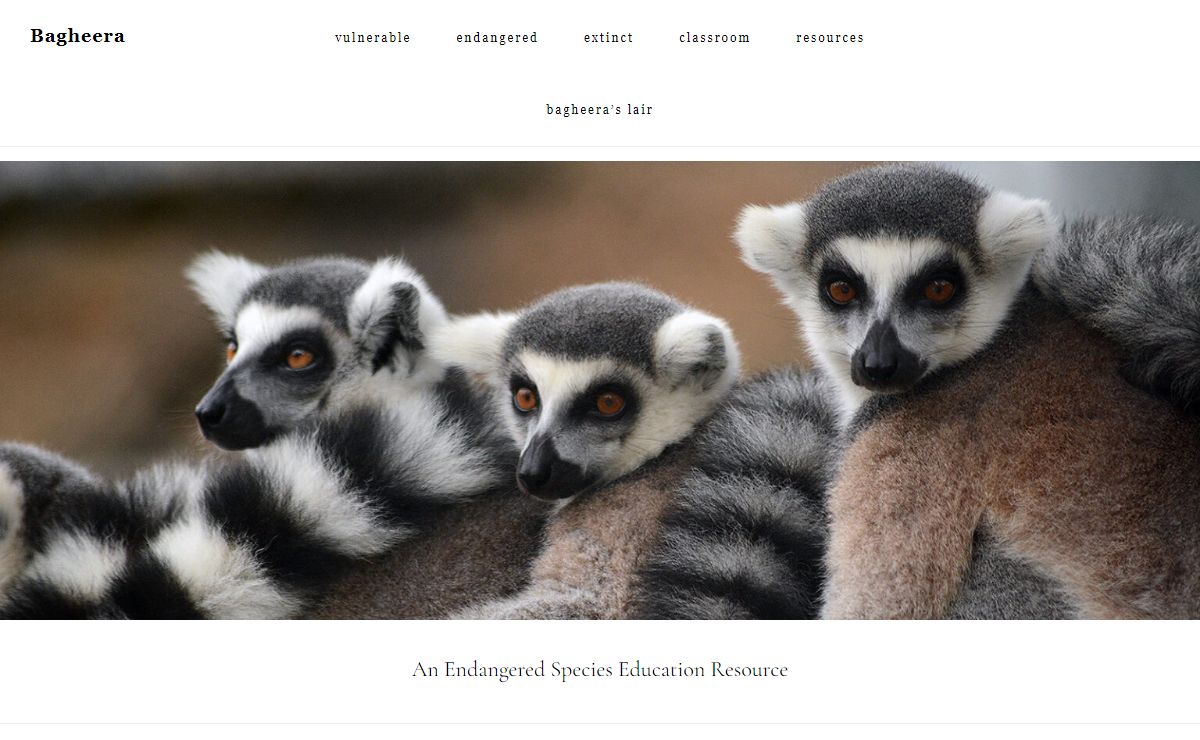 Endangered Species Education - Bagheera