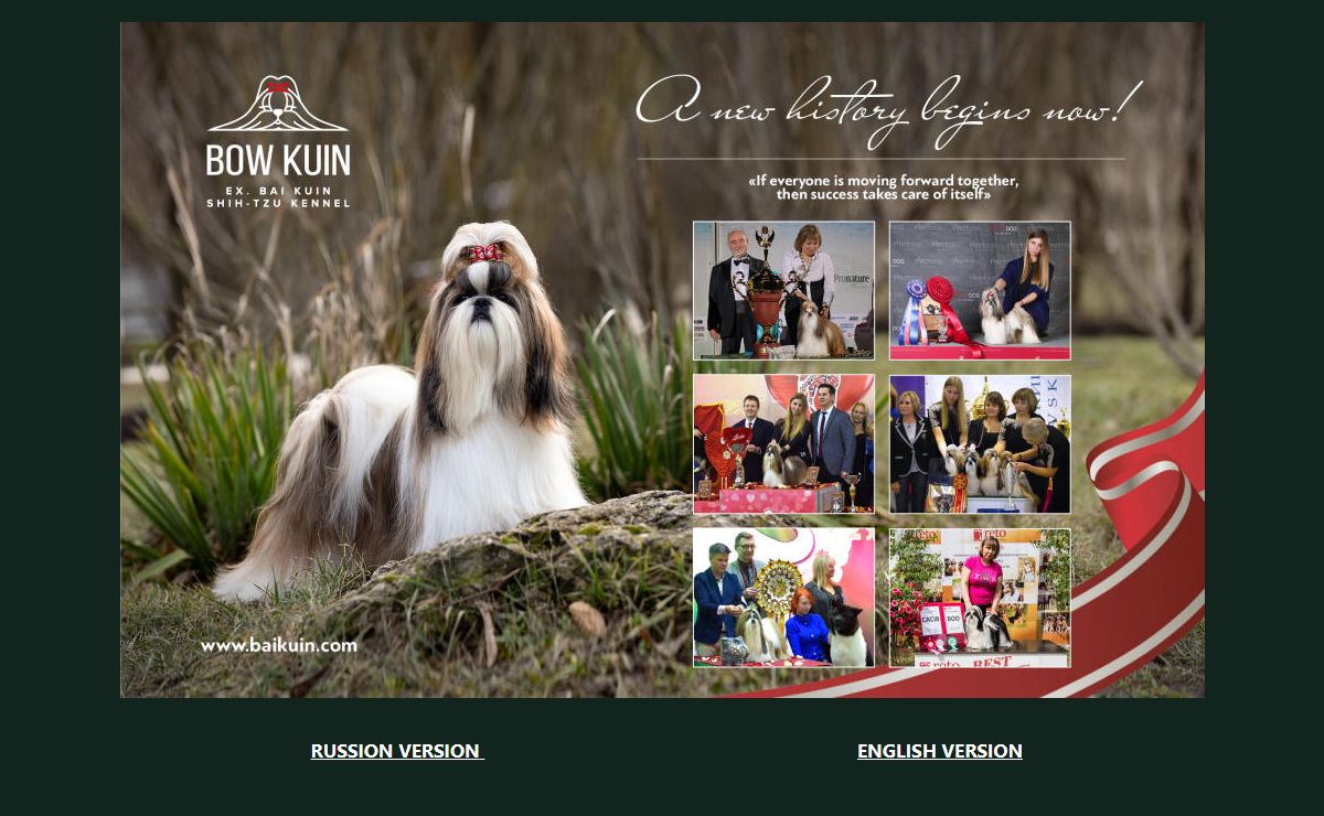 ши-тцу питомник "Боу Куин" ("Бай Куин") / shih tzu kennel "Bai Kuin"