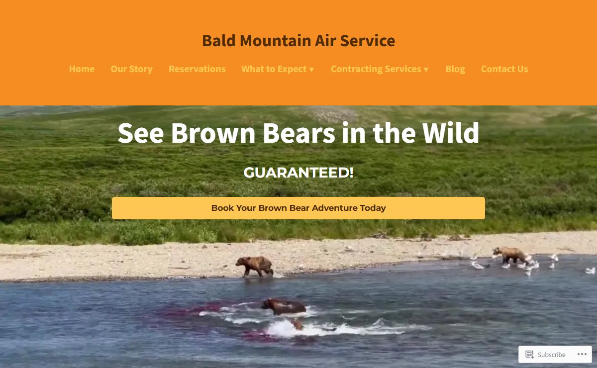 Bald Mountain Air Service