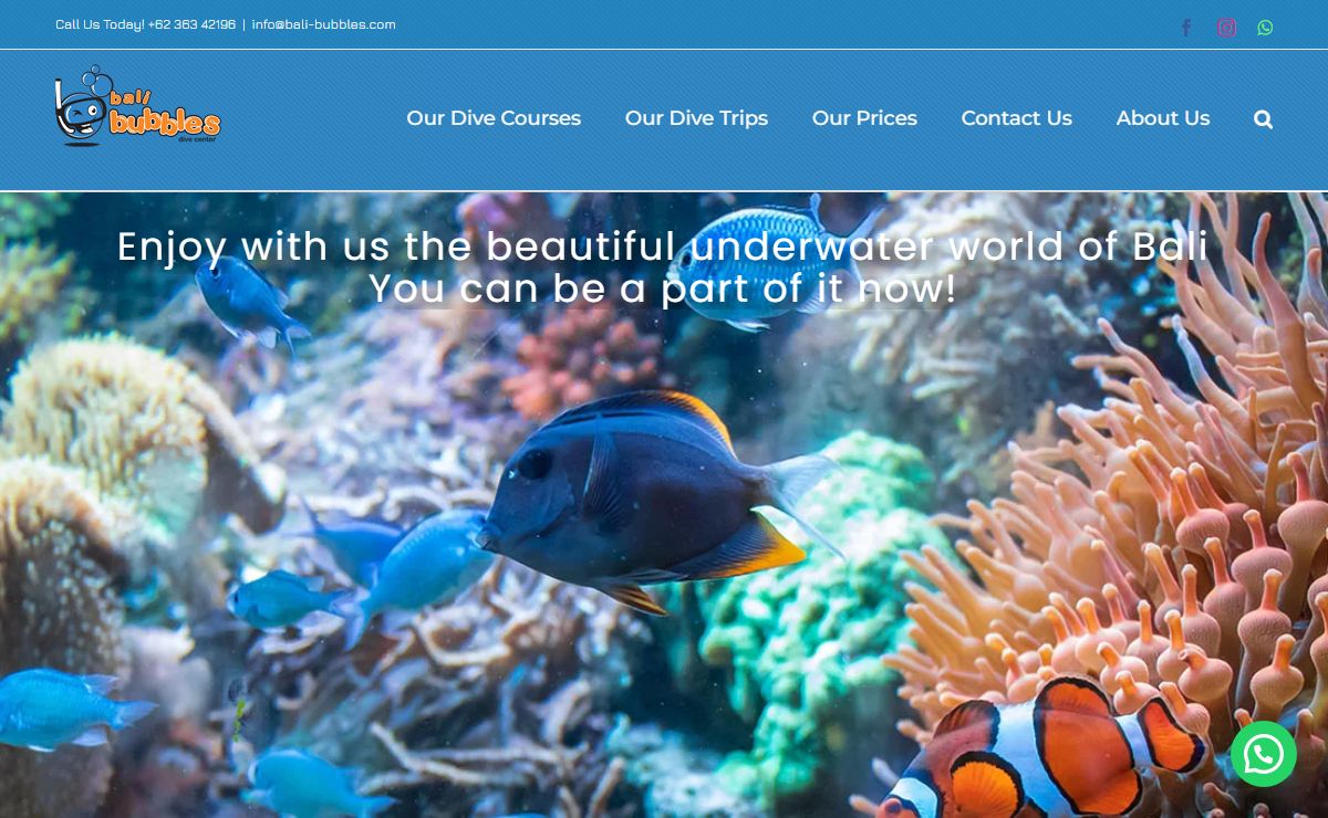 Dive Bali Bubbles, Your Gateway to Underwater Dreams!
