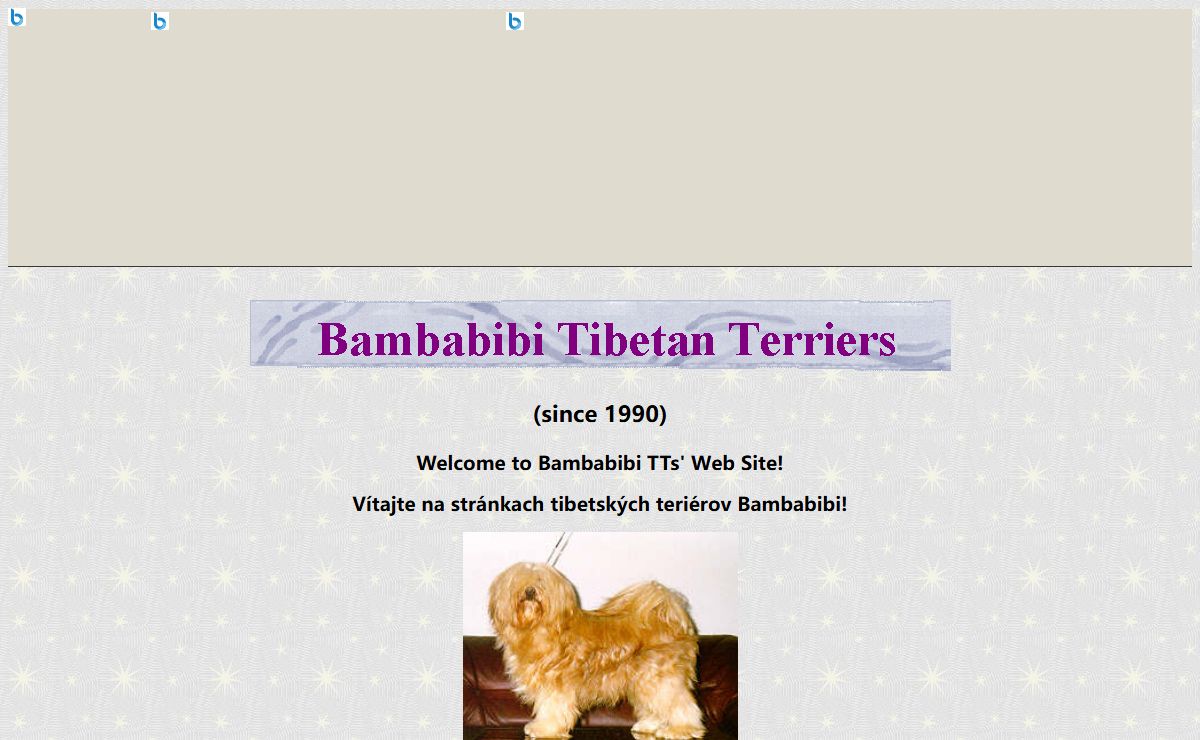 Bambabibi Tibetan Terriers