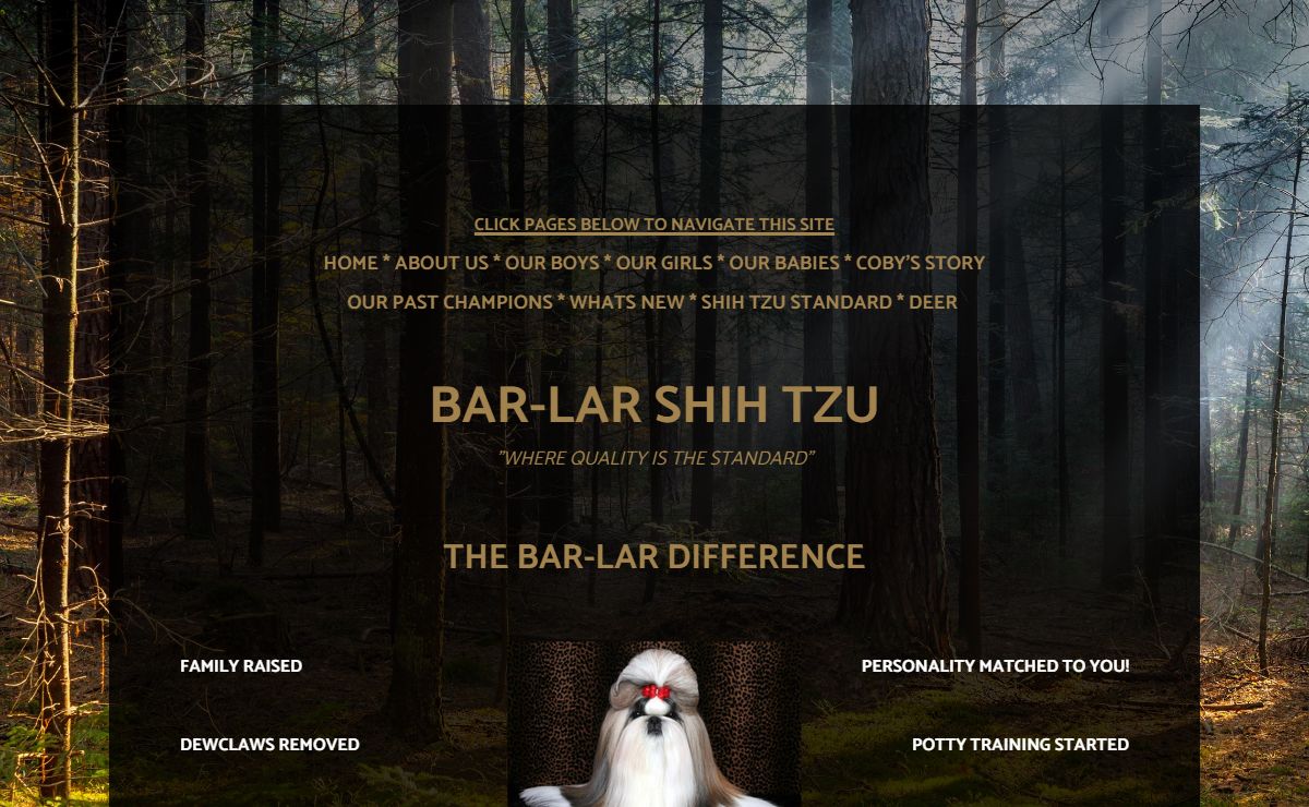 Introduction page