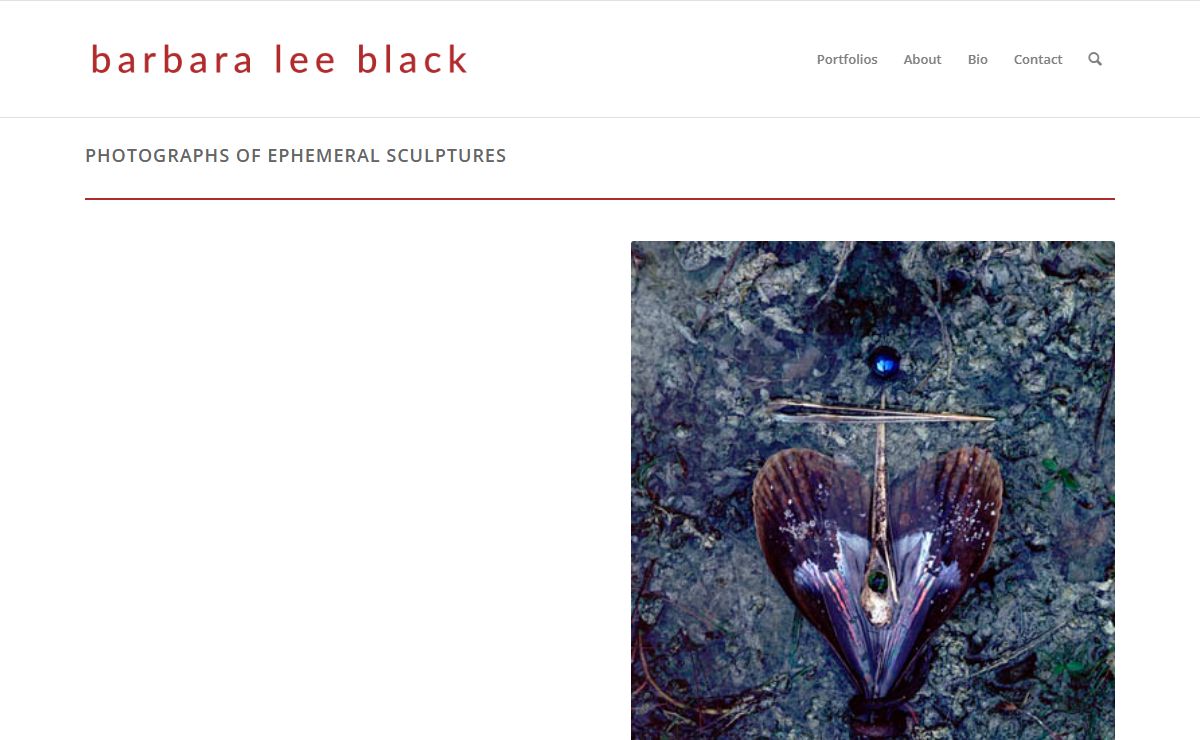 barbaraleeblack.com – Photographs of Ephemeral Sculptures