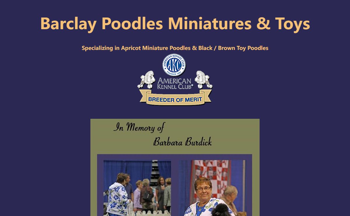 Barclay Miniature and Toy Poodles Breeder With AKC Poodle Puppies For Sale Champion Poodles