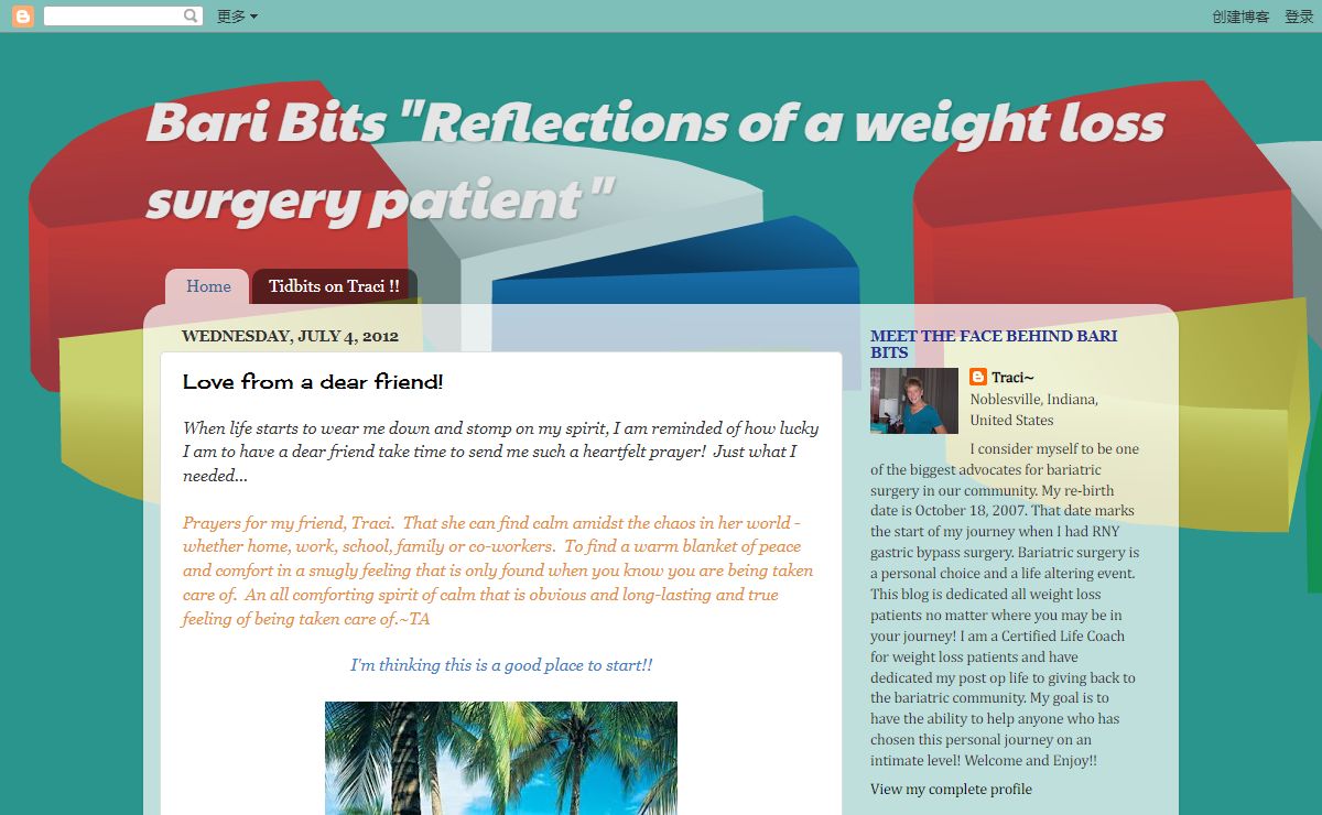 Bari Bits "Reflections of a weight loss surgery patient"