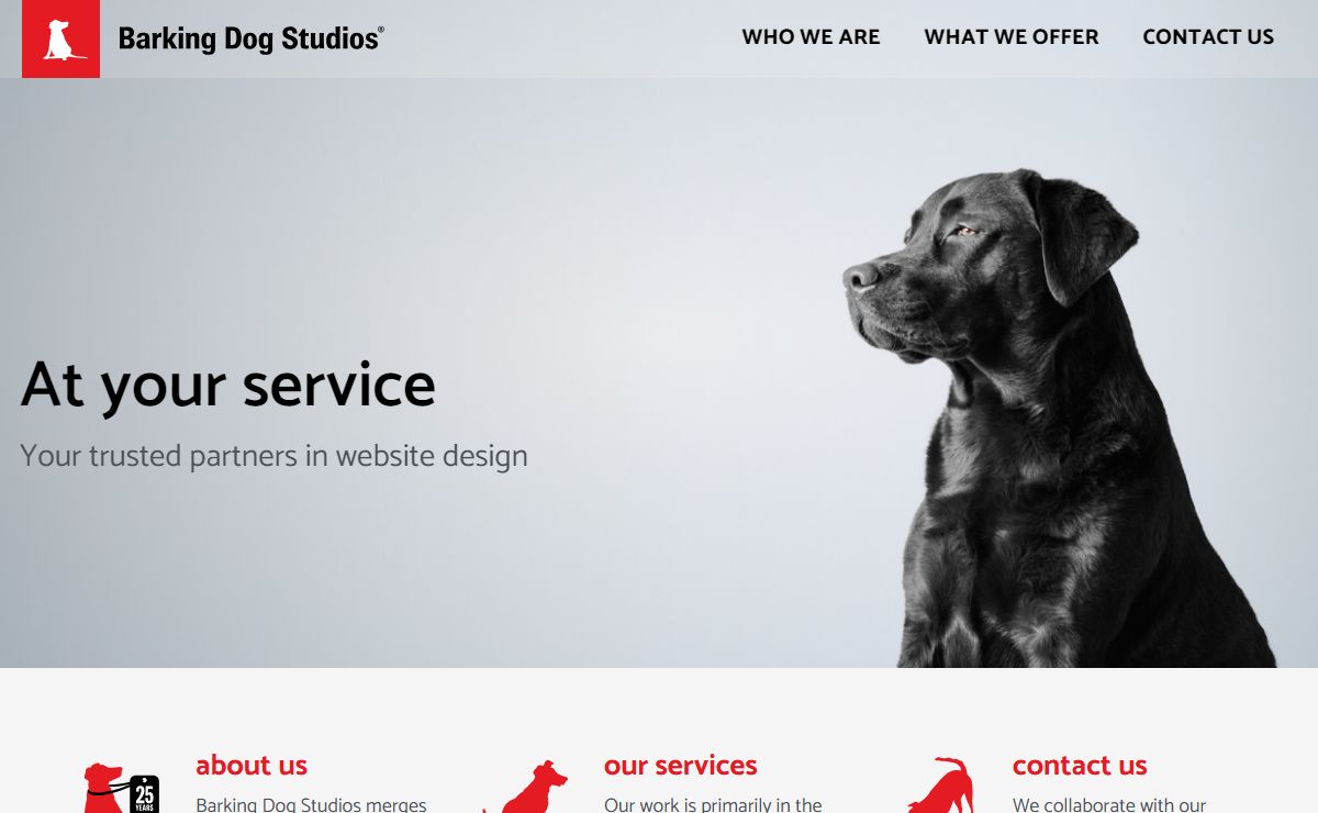 Engaging, user-friendly and accessible web sites - Barking Dog Studios