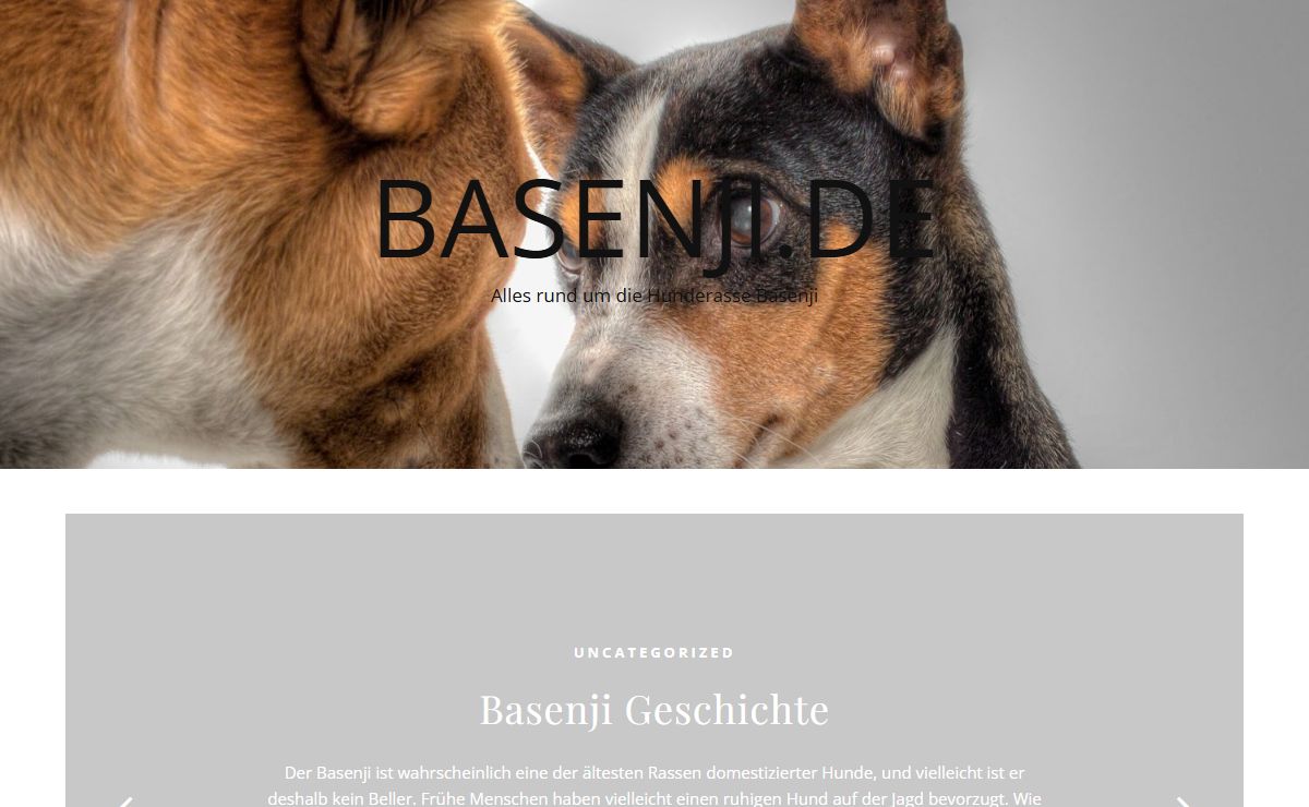 Basenji.de – Alles rund um die Hunderasse Basenji