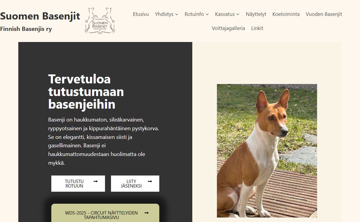 Basenji - se haukkumaton | Suomen Basenjit
