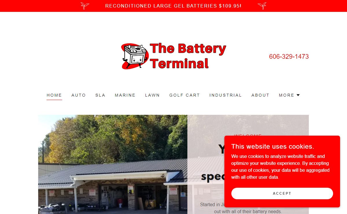 The Battery Terminal