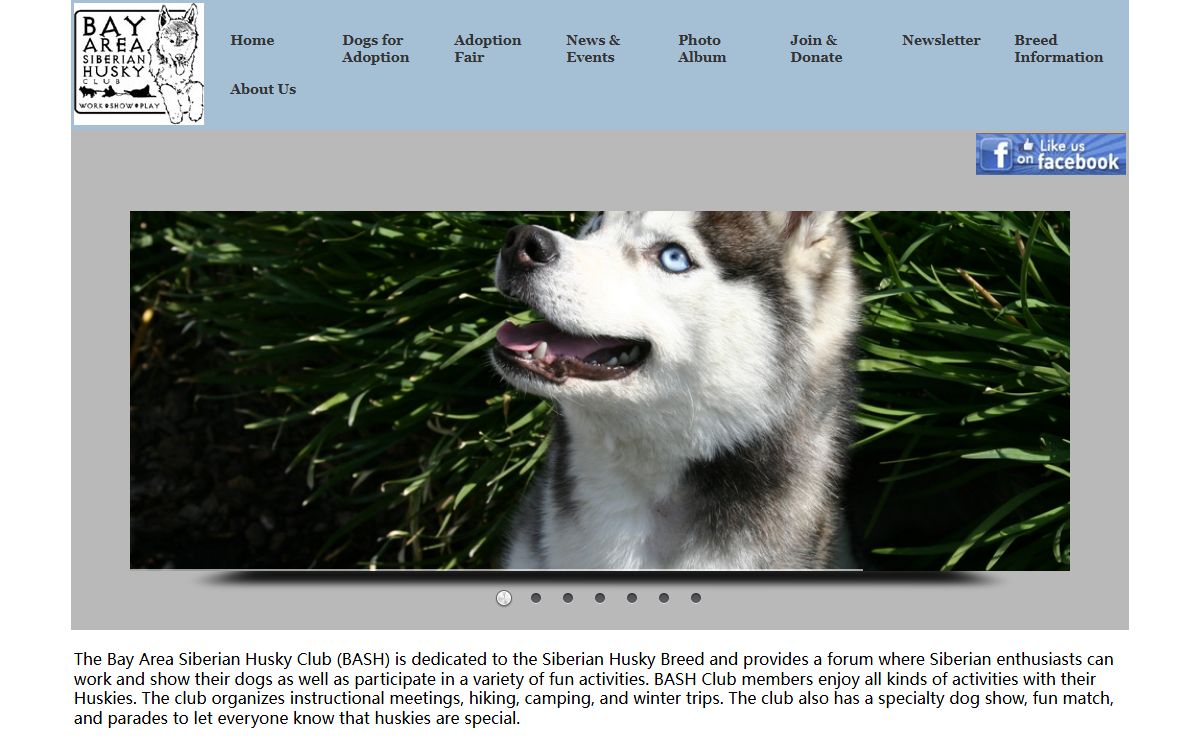 BASH website