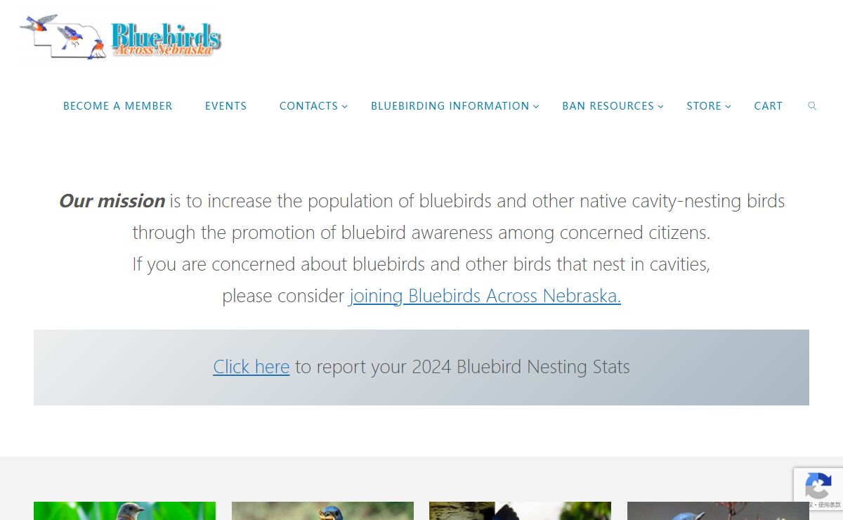 Bluebirds Across Nebraska – Our mission is to increase the population of bluebirds and other native cavity-nesting birds through the promotion of bluebird awareness among concerned citizens.