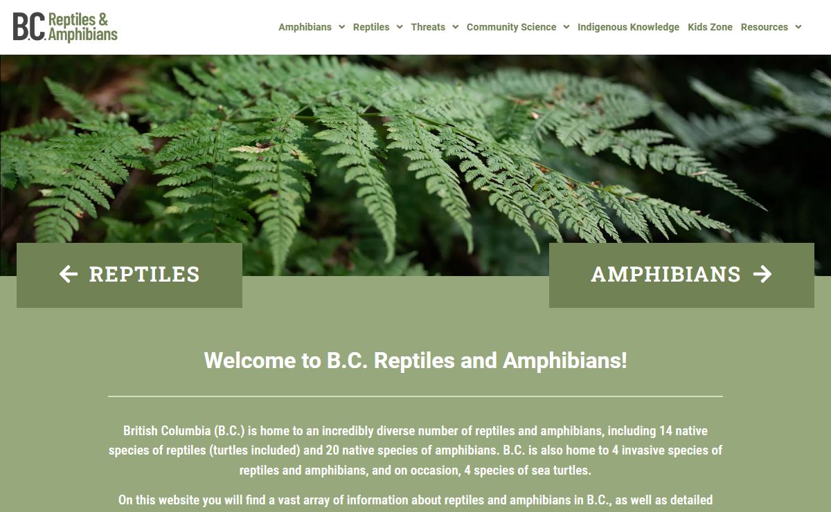 B.C. Reptiles & Amphibians
