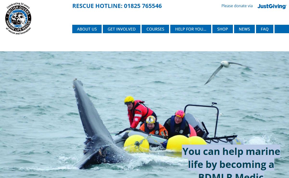 British Divers Marine Life Rescue