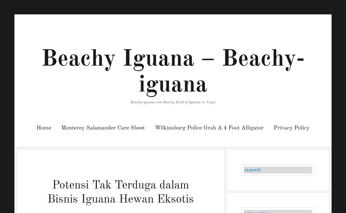 Beachy Iguana - Beachy-iguana