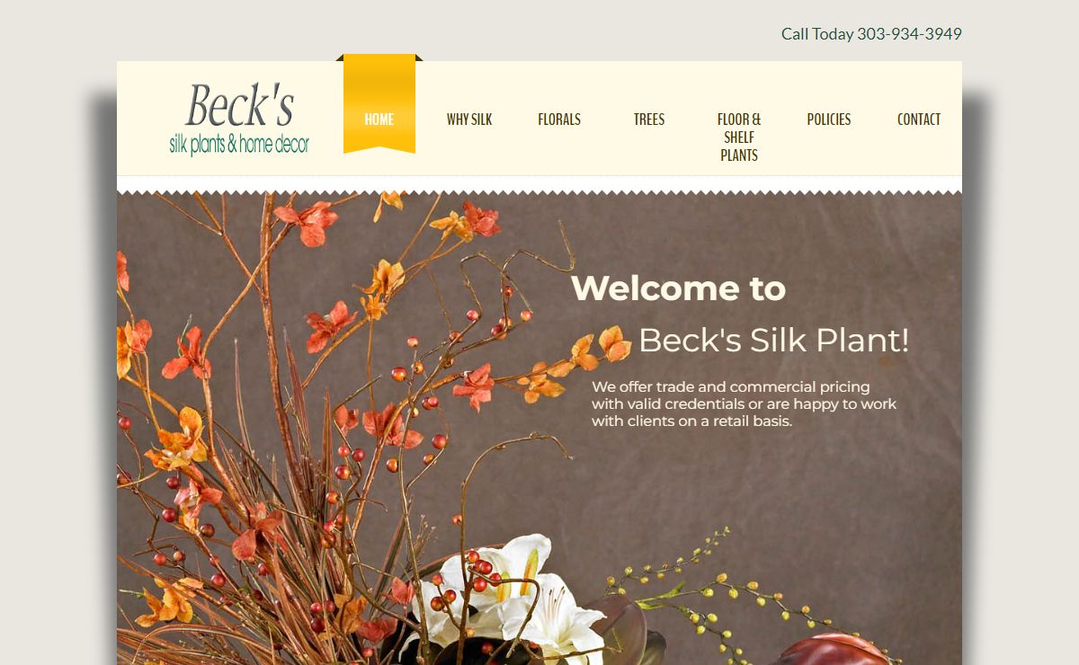 Beck's Silk Plant