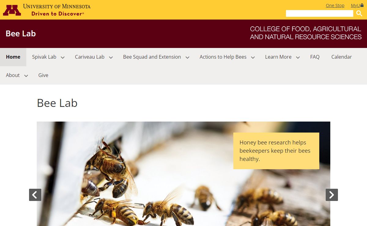 Bee Lab | Bee Lab