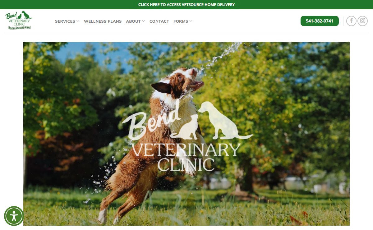 Bend Veterinary Clinic – Healthy Adventures Await!