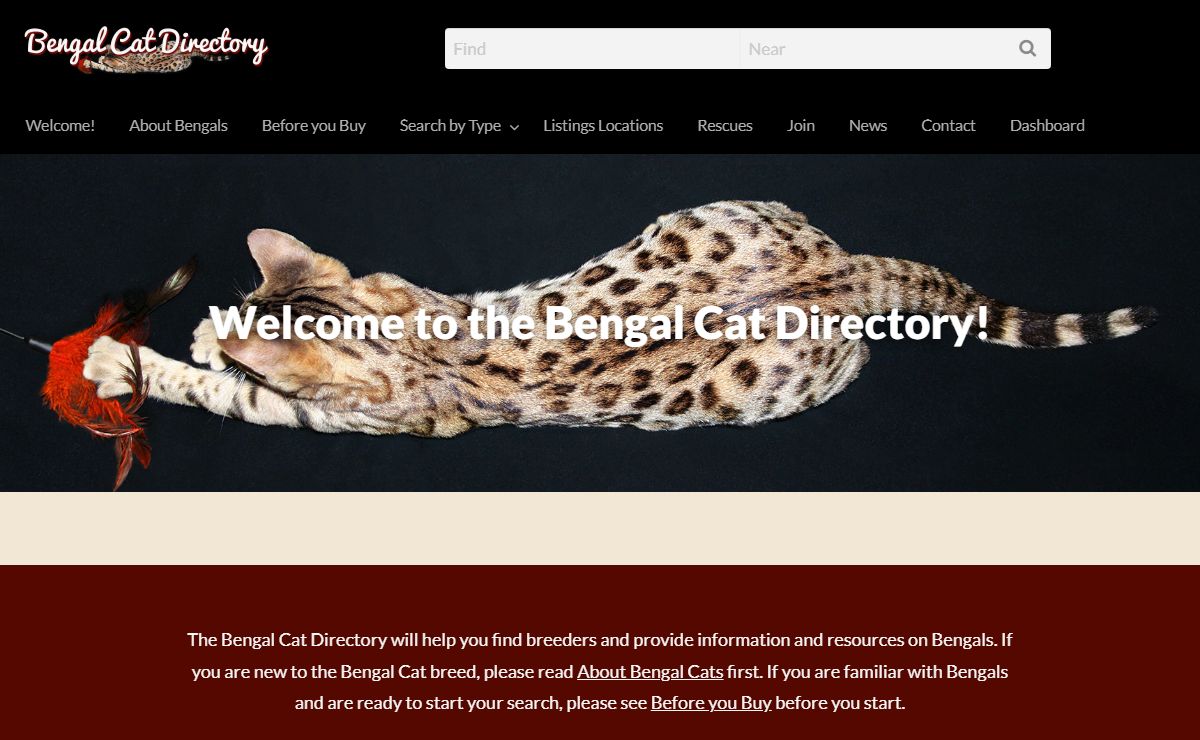 The Bengal Cat Directory – Resource for Bengal Cats, Kittens, and Information – A top-rated website for finding Quality Bengal Cat breeders, Bengal Cats and Kittens for sale, bengalcatdirectory.com bengalbreeder.net bengalkitten.net