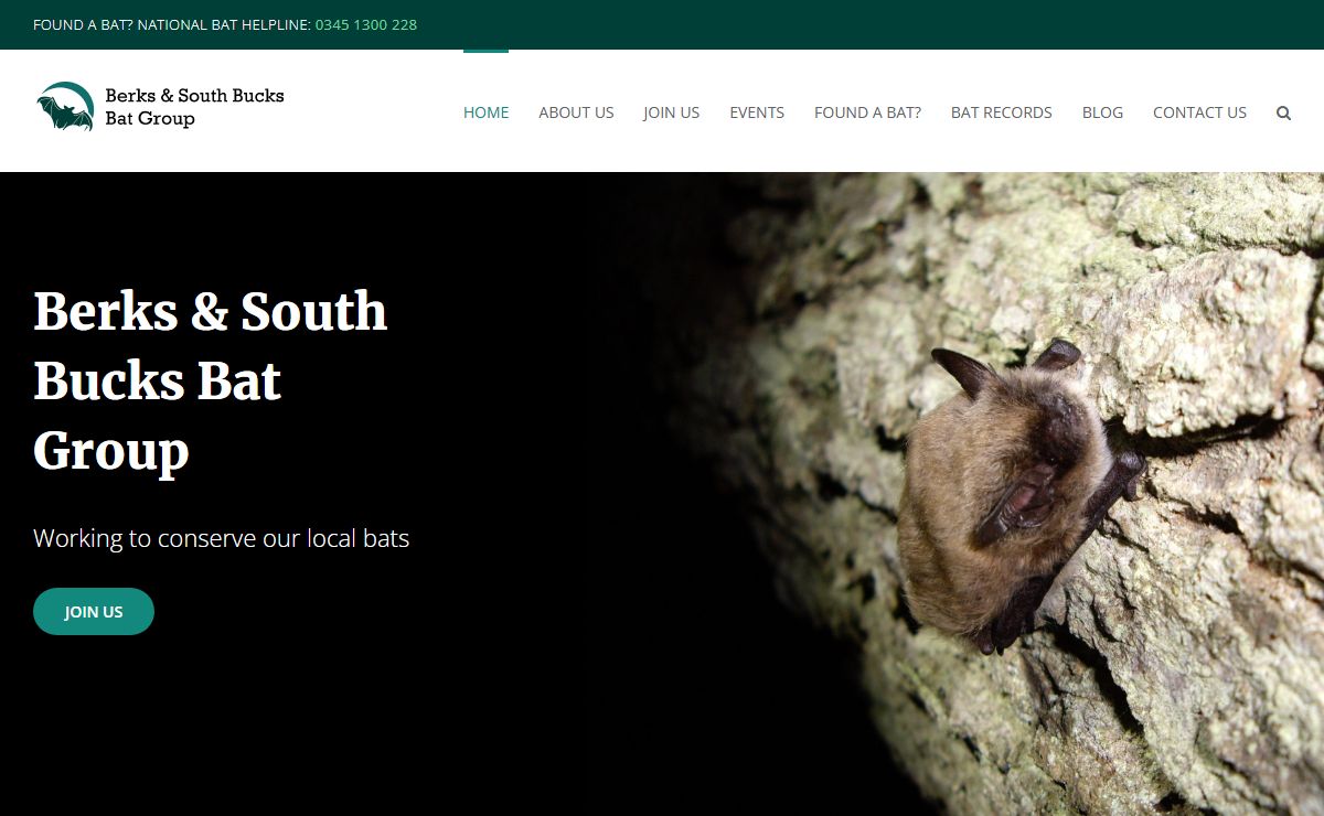 B&SBBG – The bat group is active across Berkshire and South Buckinghamshire, from the Lambourn Downs to the Kennet and Thames valleys and from the wooded areas around Windsor Great Park to the Chilterns of south Buckinghamshire.