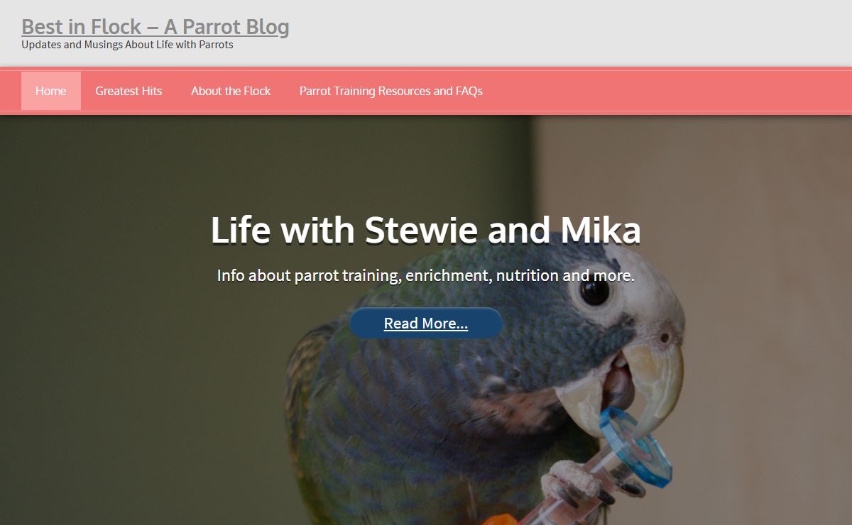 Best in Flock - A Parrot Blog | Updates and Musings About Life with Parrots
