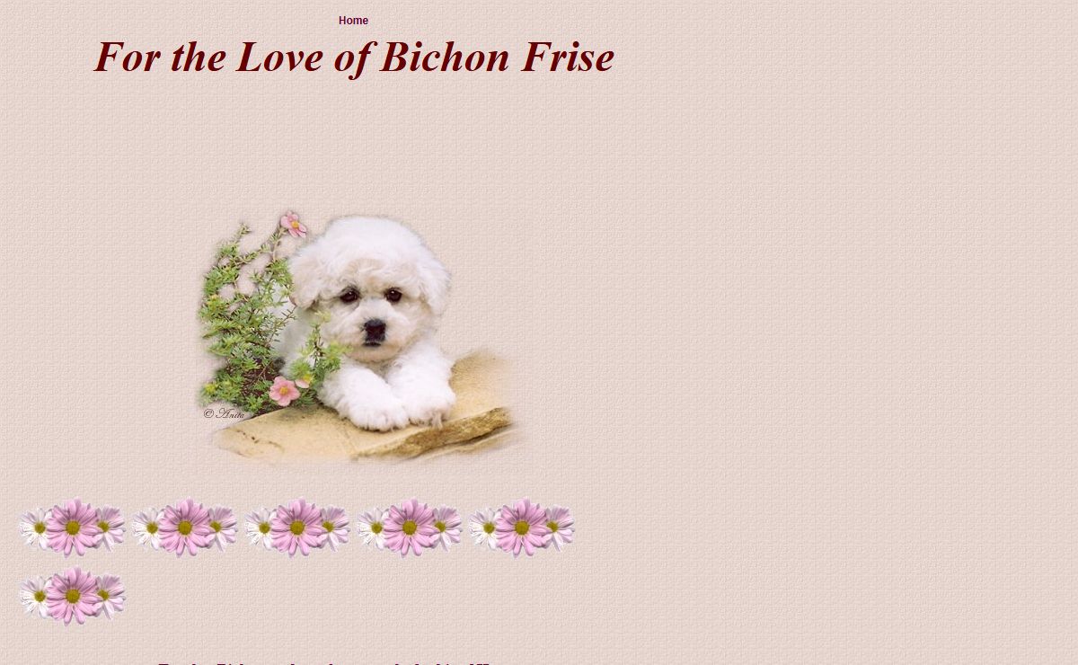 For the Love of Bichon Frise