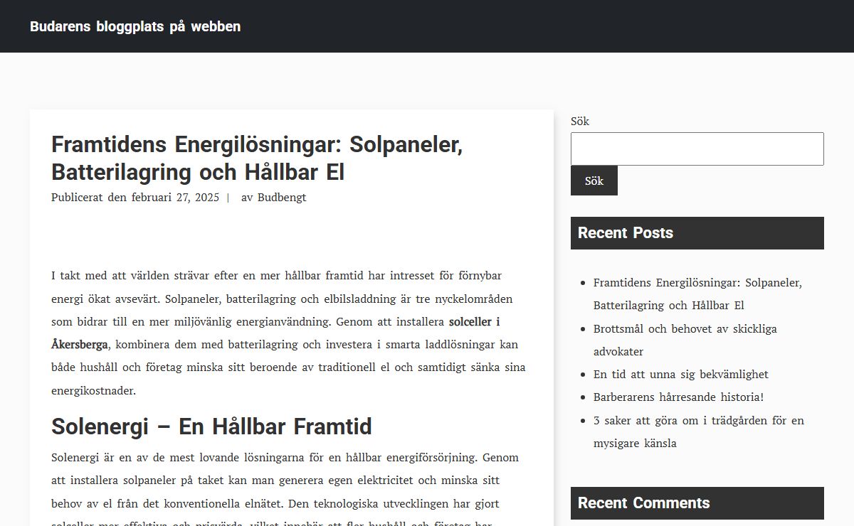 Budarens bloggplats på webben - Em blogg som alla andra, men ändå inte!