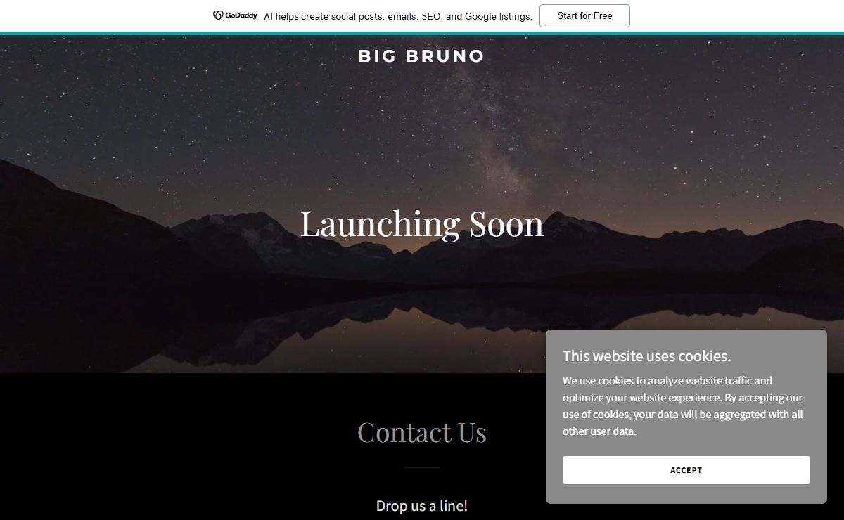 bigbruno.com