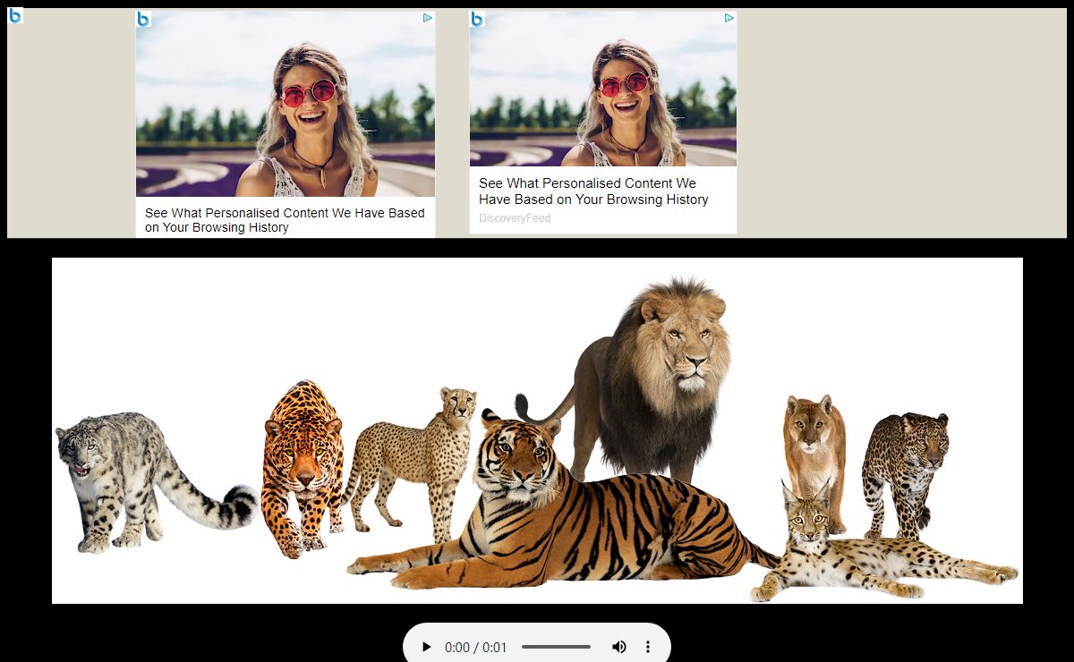 Simba's Pride Of Big Cats =^..^=