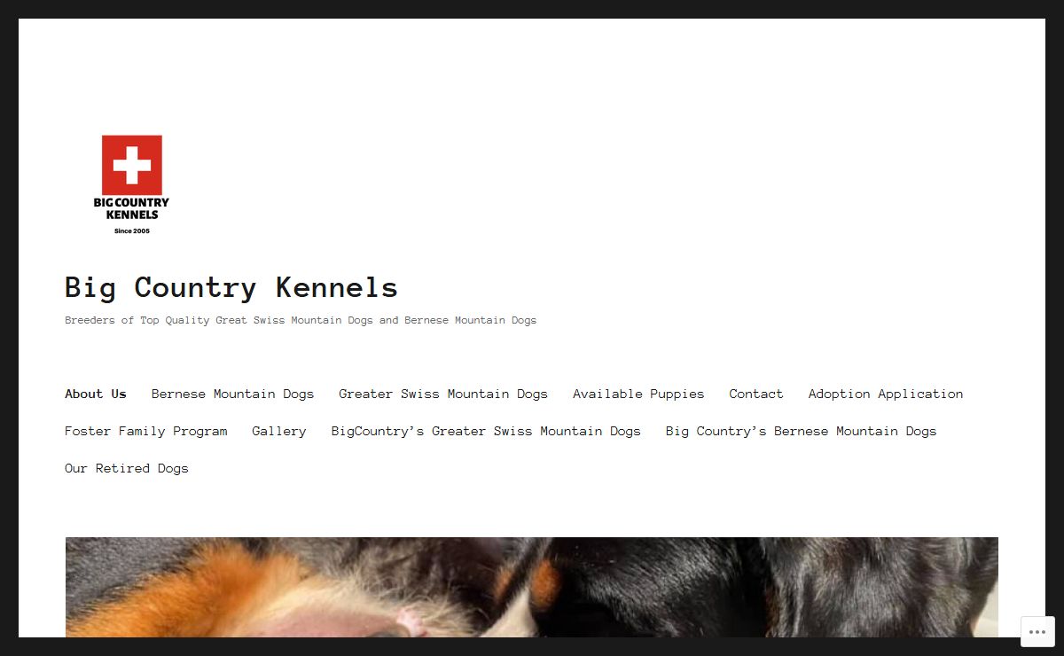 Big Country Kennels – Breeders of Top Quality Great Swiss Mountain Dogs and Bernese Mountain Dogs