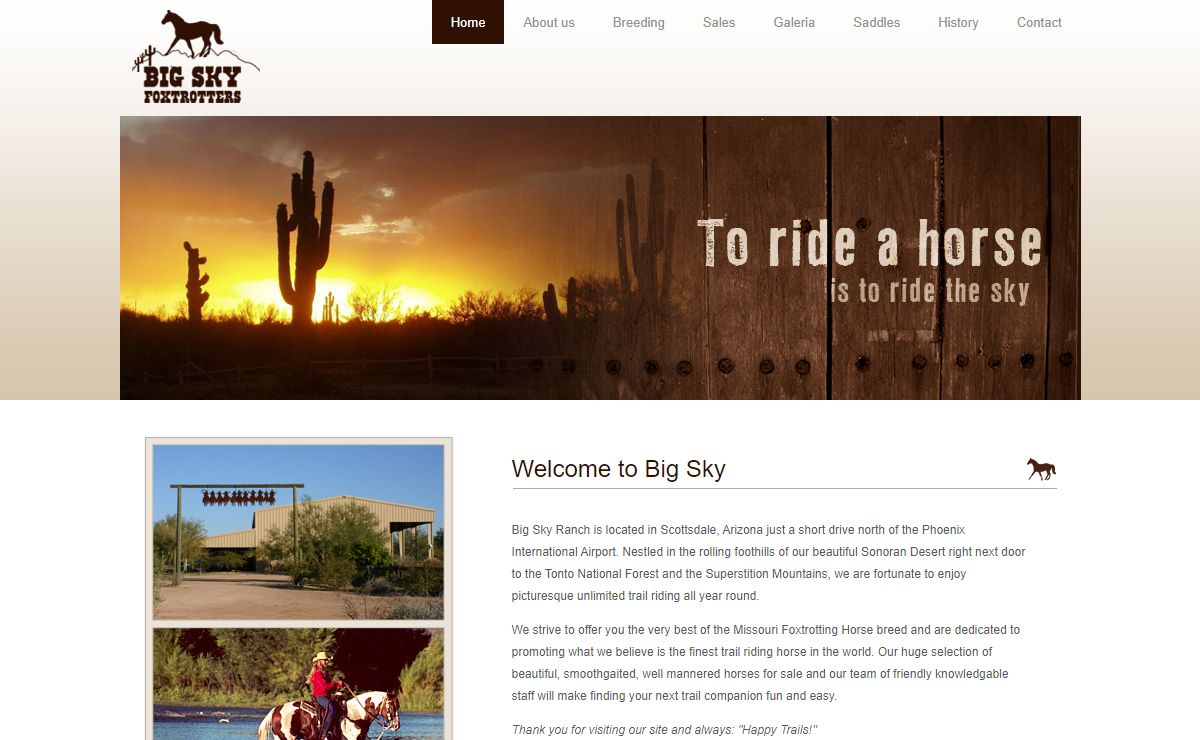 Big Sky Foxtrotters, Arizona Scottsdale