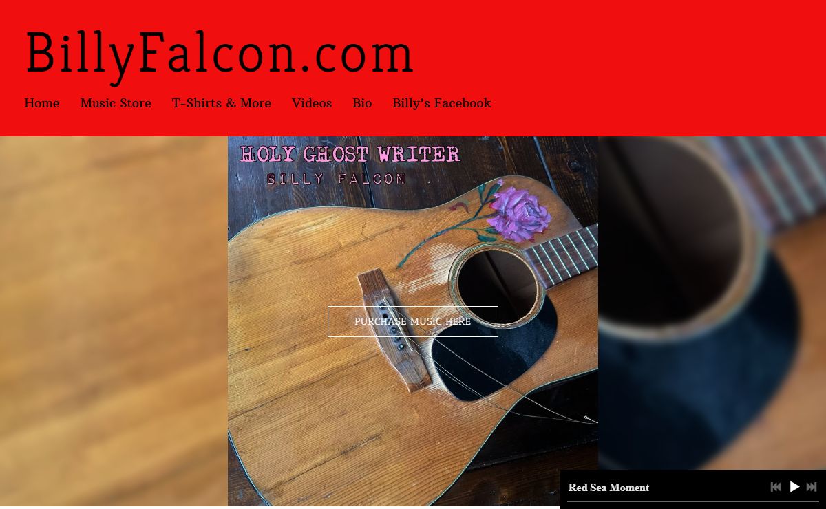 billyfalcon.com