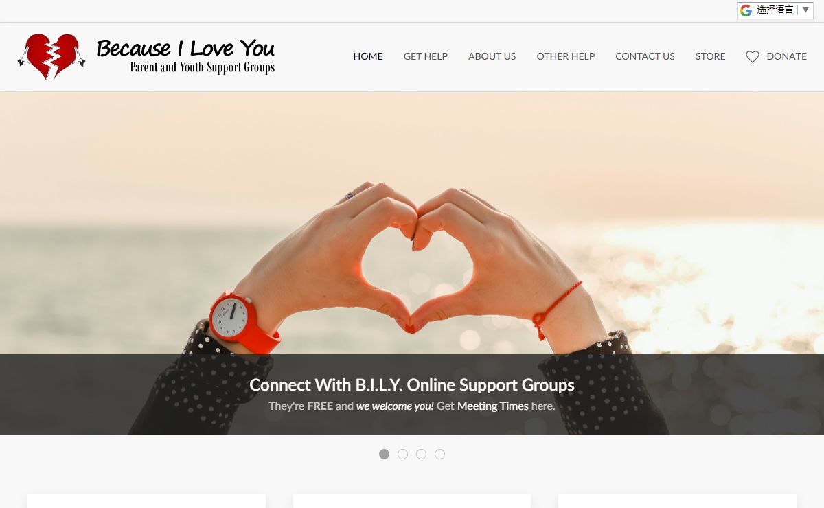 Because I Love You: Parent and Youth Support Groups