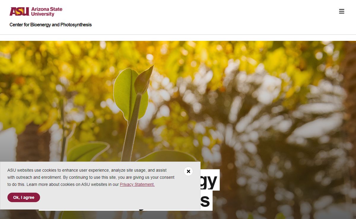 Home page | Center for Bioenergy and Photosynthesis