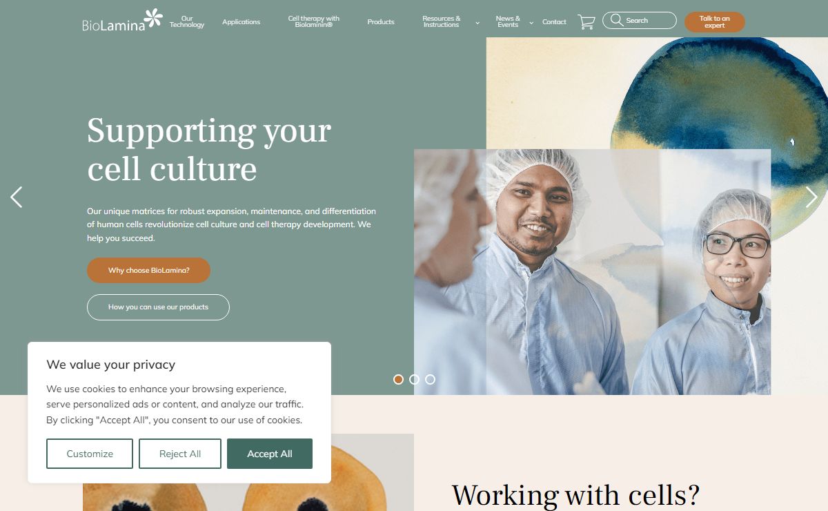 The leading primary cell culture system on the market - BioLamina