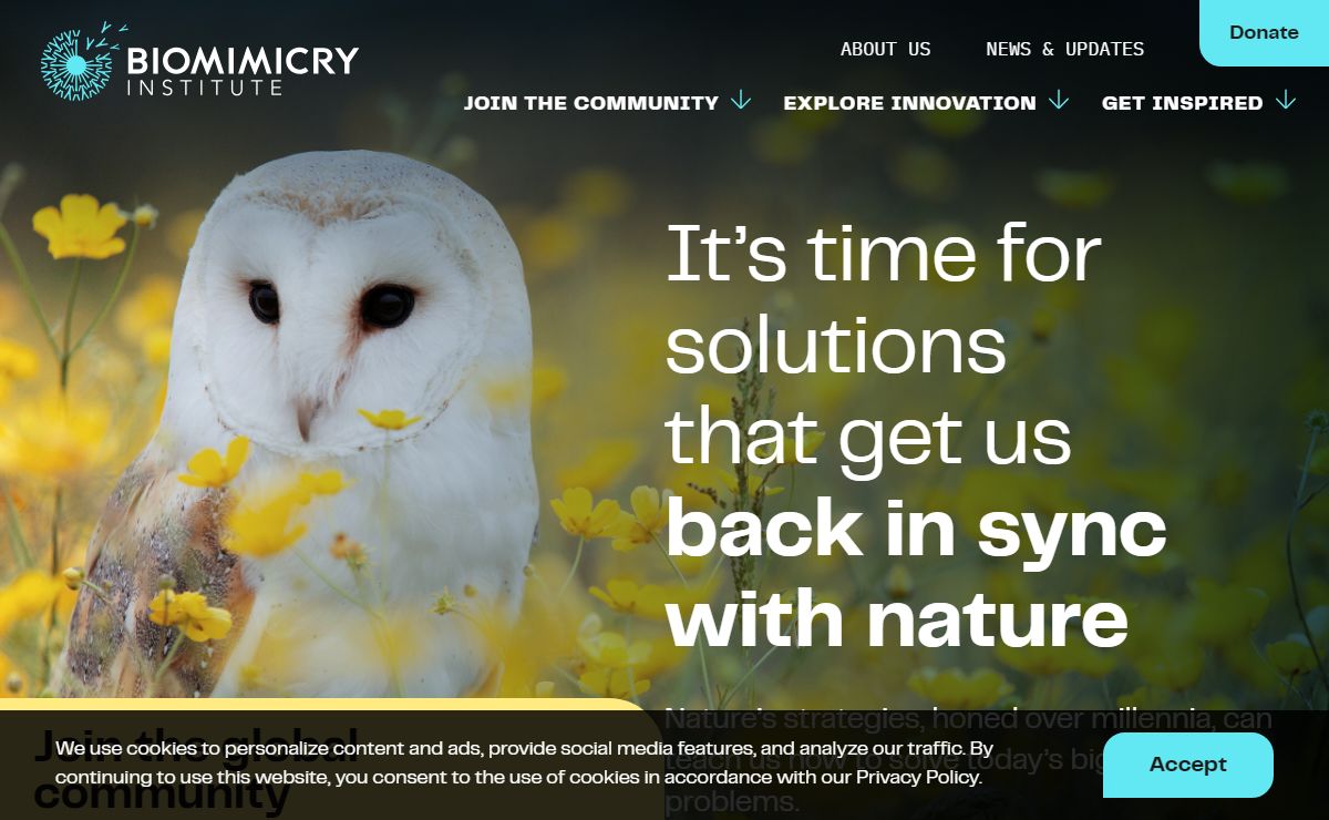 Home - The Biomimicry Institute