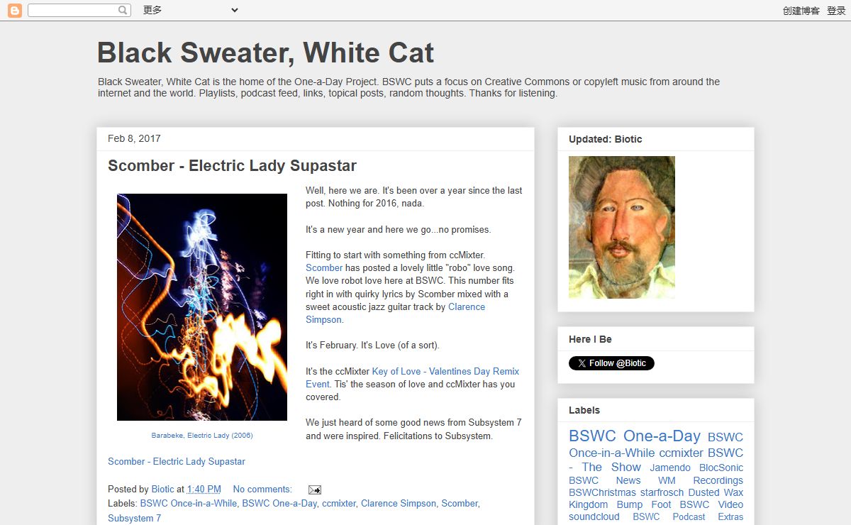 Black Sweater, White Cat
