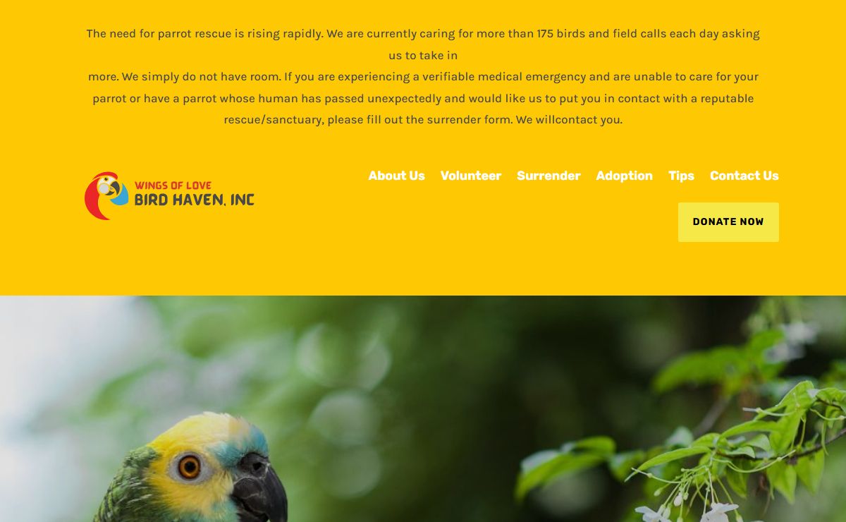 Bird Haven | A Haven for Companion Parrots