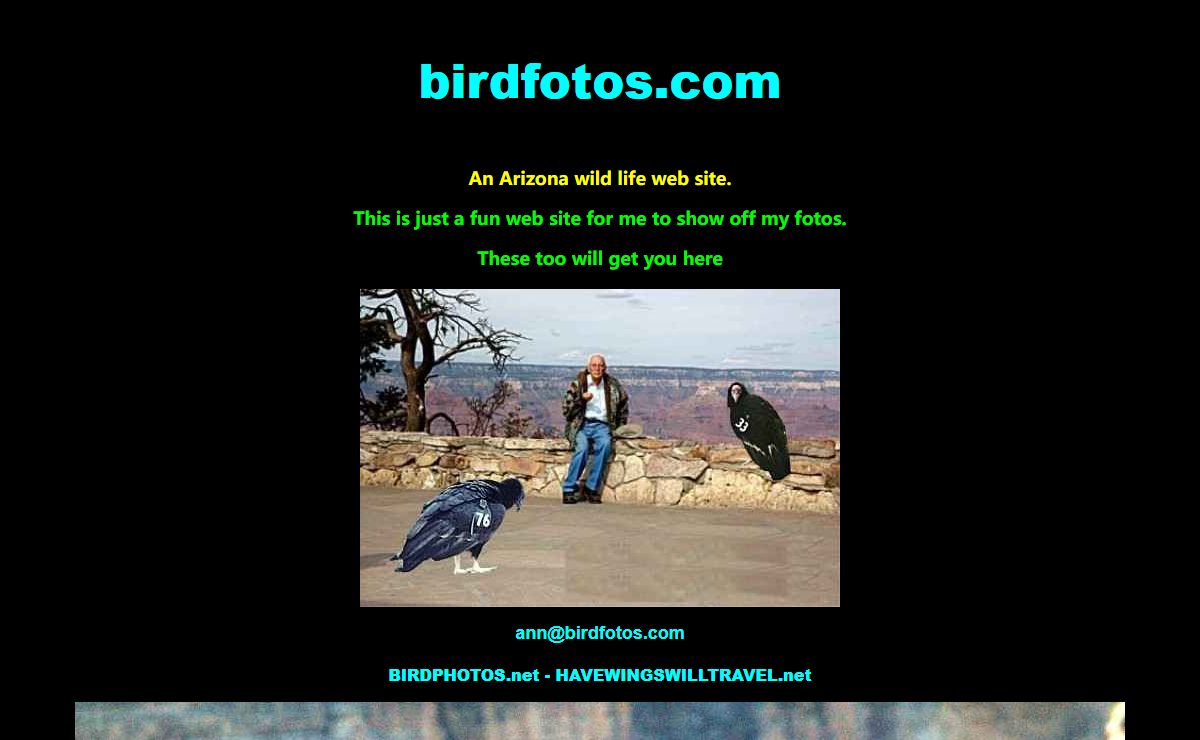 Photographs of the birds of Arizona and Desert Wild Life on the Arizona desert