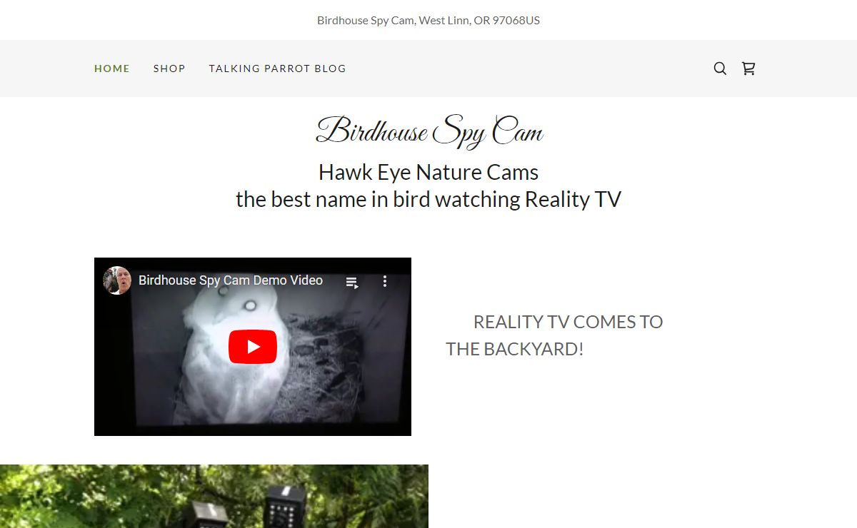 Birdhouse Spy Cam - Bird Watching Area, Video Cams, Wildlife