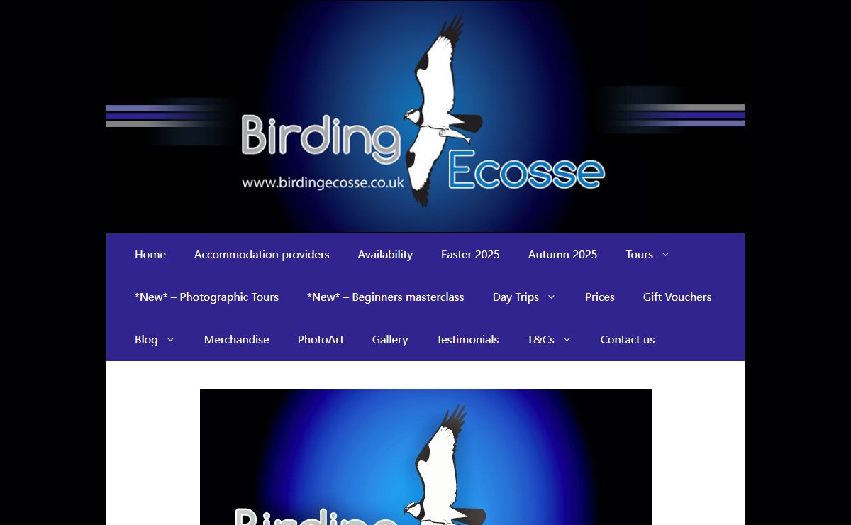 Birding Ecosse – Birdwatching tours throughout the highlands