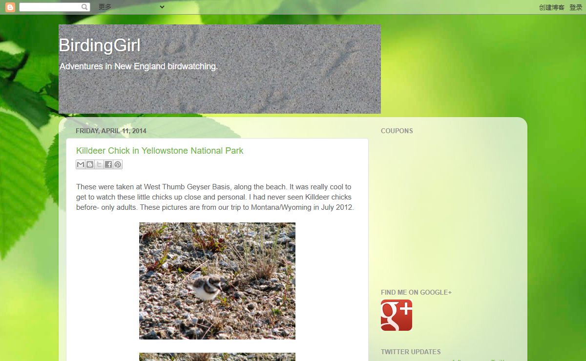 BirdingGirl