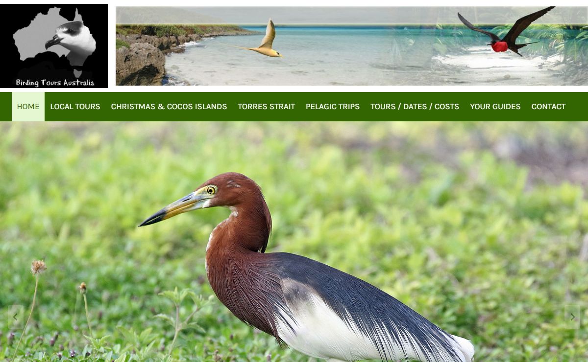 Birding Tours Australia